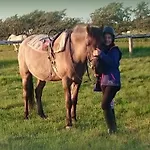 Ferienzimmervermietung Reitferien * Skærbæk