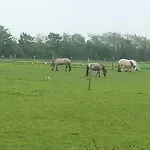 Ferienzimmervermietung Reitferien Skærbæk