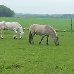 Ferienzimmervermietung Reitferien Landhuis Skærbæk