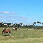 Ferienzimmervermietung Reitferien Landhuis