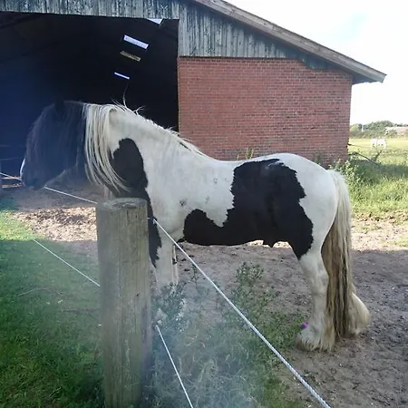 Ferienzimmervermietung Reitferien Gospodarstwo wiejskie *