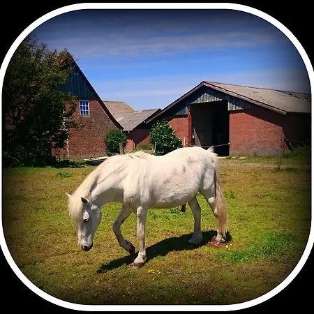 Gospodarstwo wiejskie Ferienzimmervermietung Reitferien