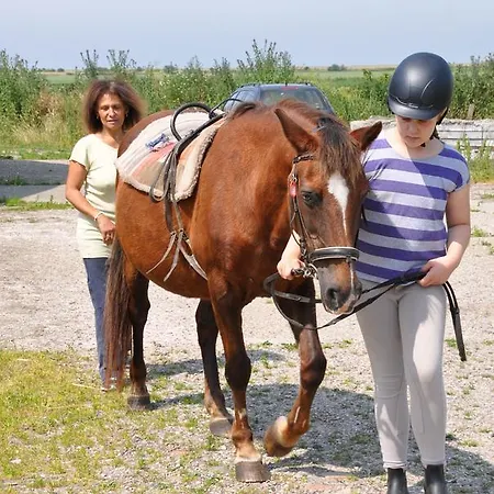 Gospodarstwo wiejskie Ferienzimmervermietung Reitferien *