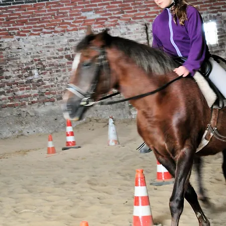 Ferienzimmervermietung Reitferien