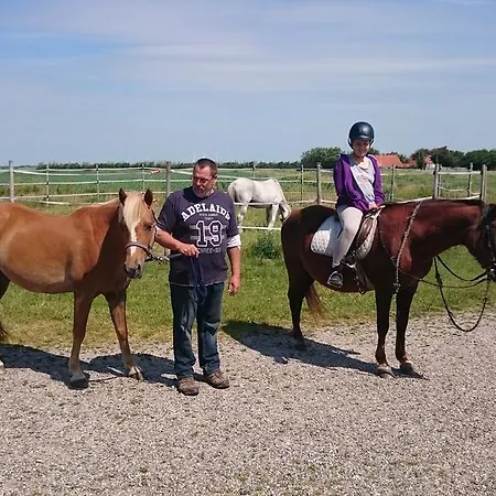 Ferienzimmervermietung Reitferien *