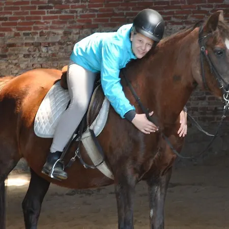 Ferienzimmervermietung Reitferien *