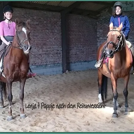 Ferienzimmervermietung Reitferien Landsted *