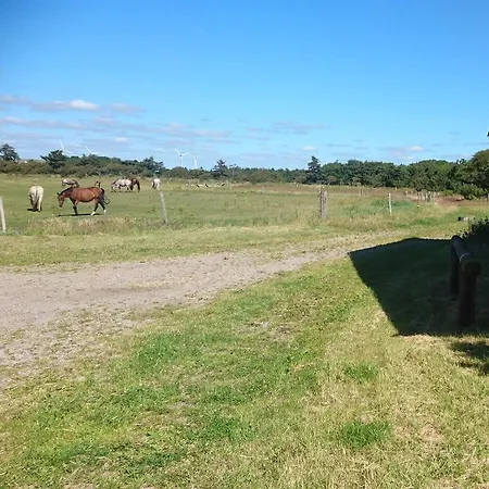 Landsted Ferienzimmervermietung Reitferien *