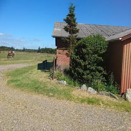 Gospodarstwo wiejskie Ferienzimmervermietung Reitferien Skærbæk