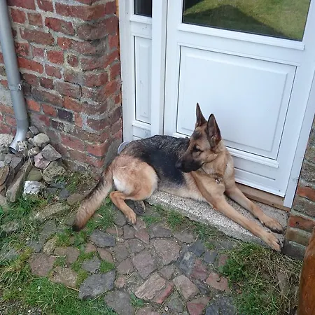 Ferienzimmervermietung Reitferien Casa rural *