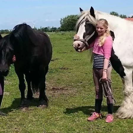 Ferienzimmervermietung Reitferien Skærbæk