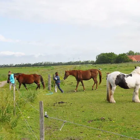 Ferienzimmervermietung Reitferien * Skærbæk