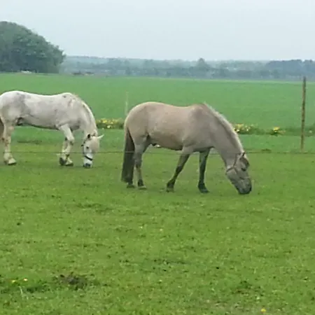 Ferienzimmervermietung Reitferien Casa rural Skærbæk