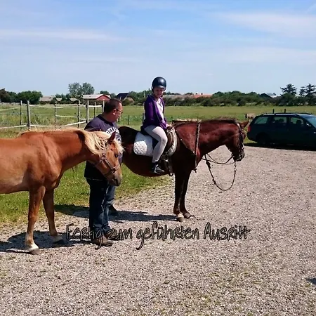 Ferienzimmervermietung Reitferien Landsted
