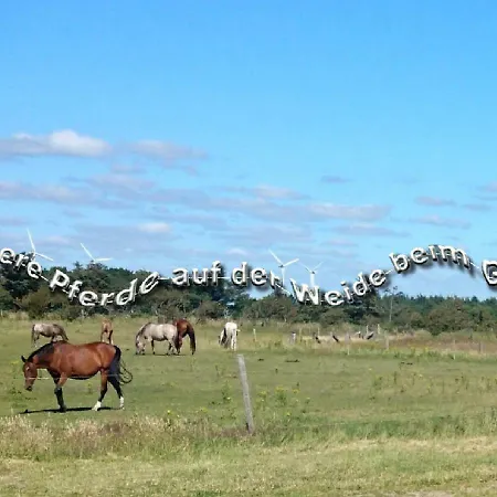 Ferienzimmervermietung Reitferien Gospodarstwo wiejskie