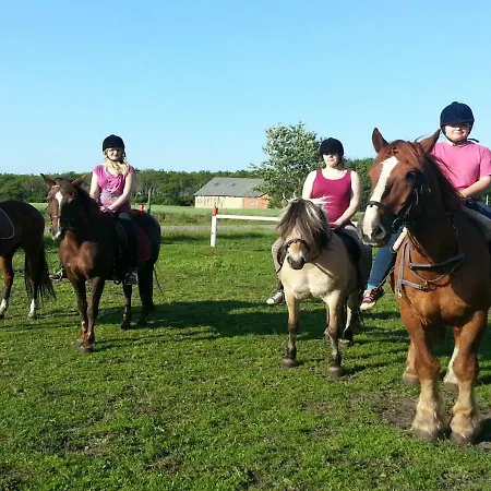 Ferienzimmervermietung Reitferien * Skærbæk