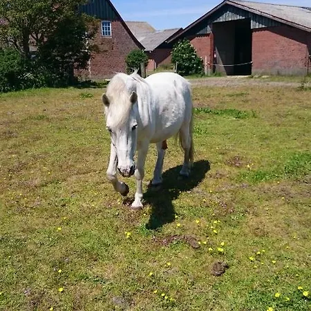 Ferienzimmervermietung Reitferien